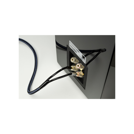 SVS SoundPath Ultra – bananplugg tilkoblet