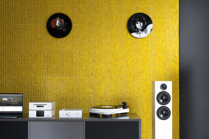 Pro-Ject RPM 3 Carbon – detalj 2
