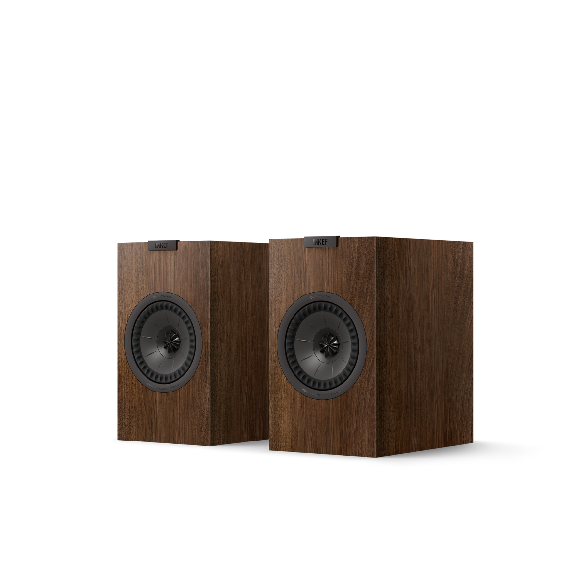 KEF Q1 Meta Valnøtt