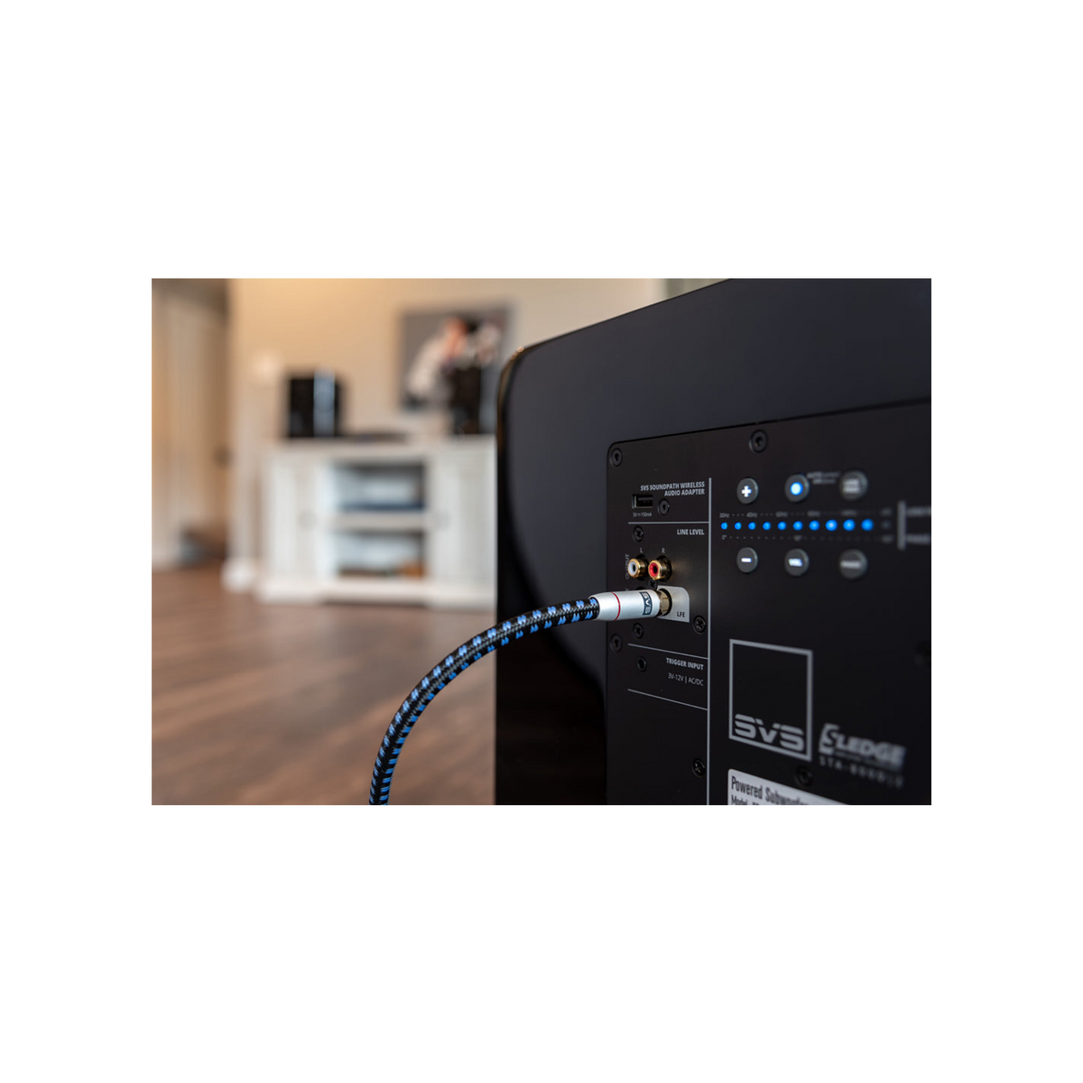 SVS SoundPath RCA Par – detalj