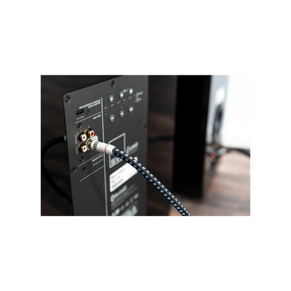 SVS SoundPath RCA Par – flettet mantel