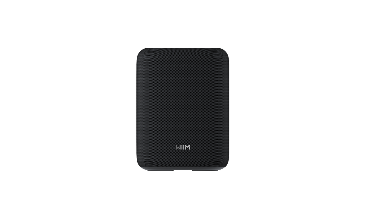 WiiM Sound Lite Sort
