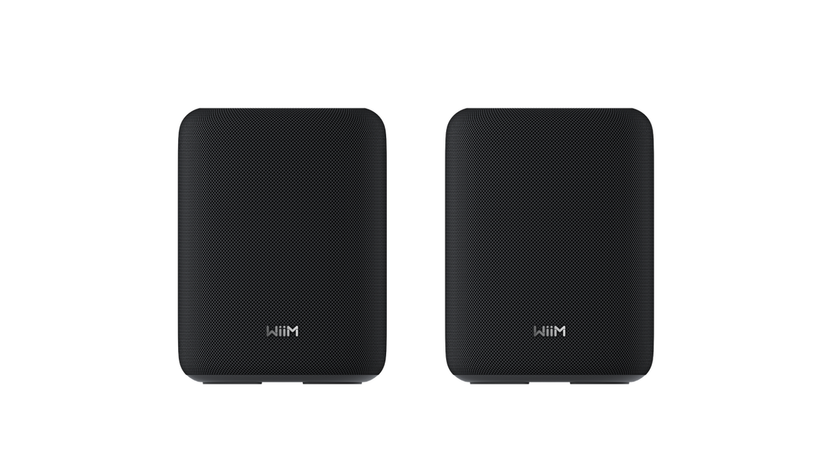 WiiM Sound Lite (par) Sort