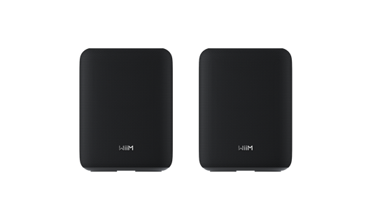 WiiM Sound Lite (par) Sort
