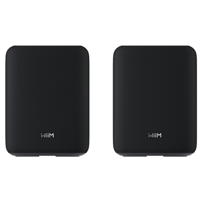 WiiM Sound Lite (par) Sort
