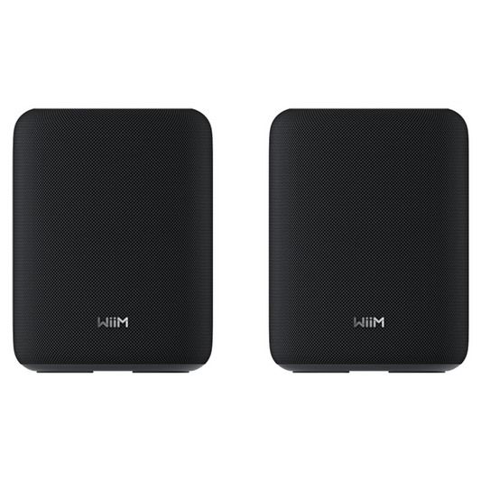 WiiM Sound Lite (par) Sort